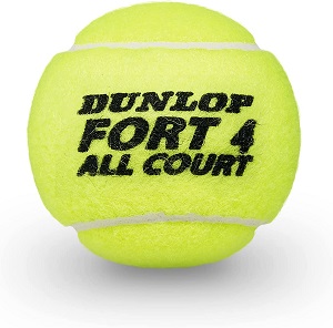 Raquetas de tenis profesionales de 27 pulgadas (paquete de 2), cuerdas  ligeras y duraderas, ideales para jugadores principiantes e intermedios